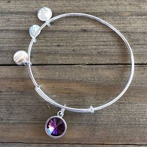 Alex and Ani Amethyst Birthstone Crystal Silver Adjustable Charm Bracelet! EUC
